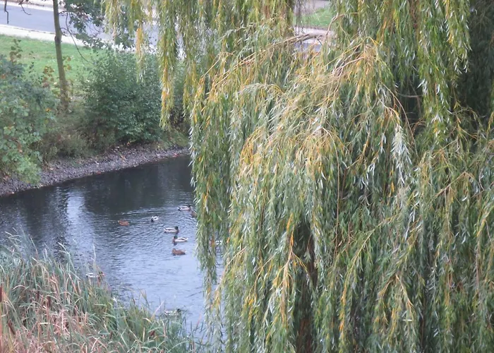 Zimmervermietung Zum Pensionat Wolteritz